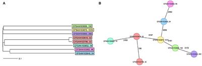 Genomic Comparison of Eight Closed Genomes of Multidrug-Resistant Salmonella enterica Strains Isolated From Broiler Farms and Processing Plants in Trinidad and Tobago